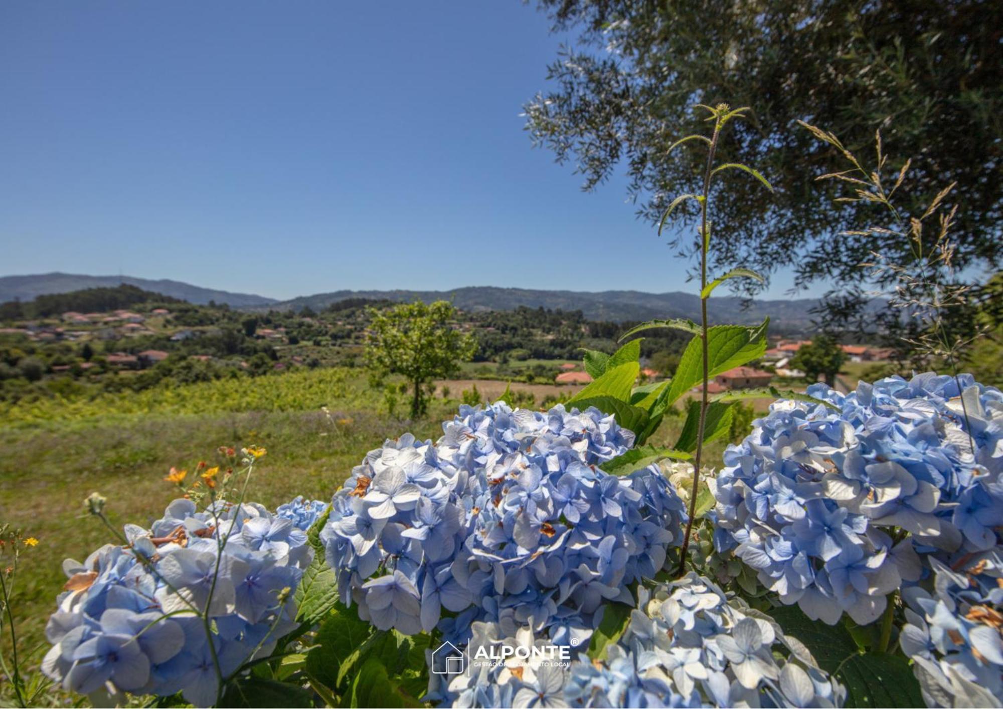 Quinta Da Costeira - Casa Azul Do Limoal By Alponte Villa Arcos de Valdevez Ngoại thất bức ảnh
