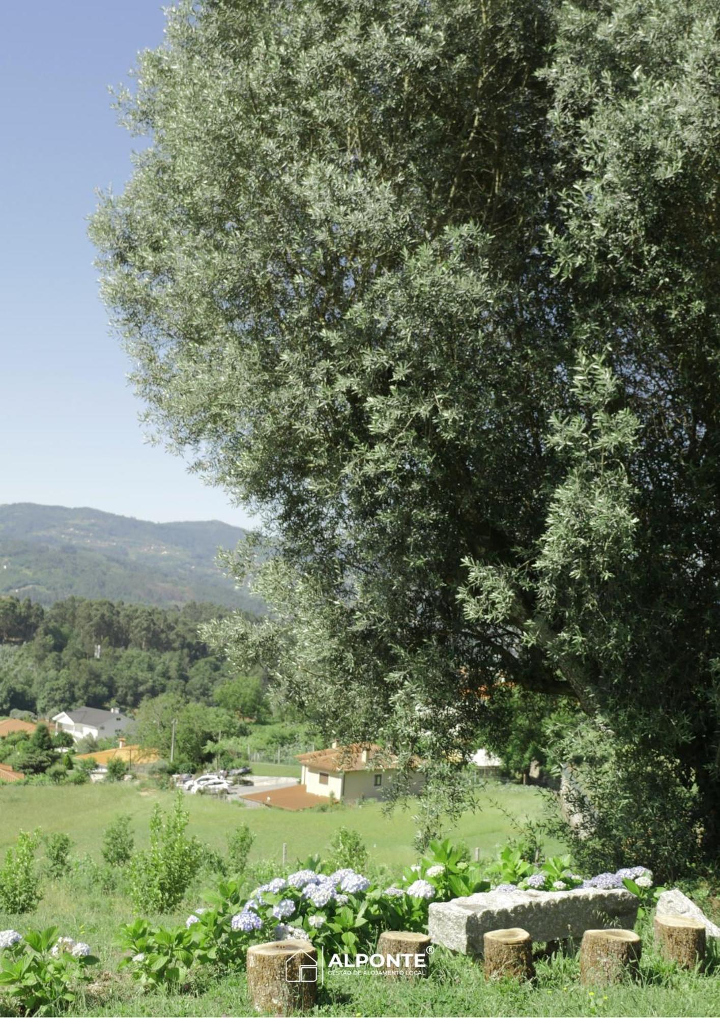 Quinta Da Costeira - Casa Azul Do Limoal By Alponte Villa Arcos de Valdevez Ngoại thất bức ảnh