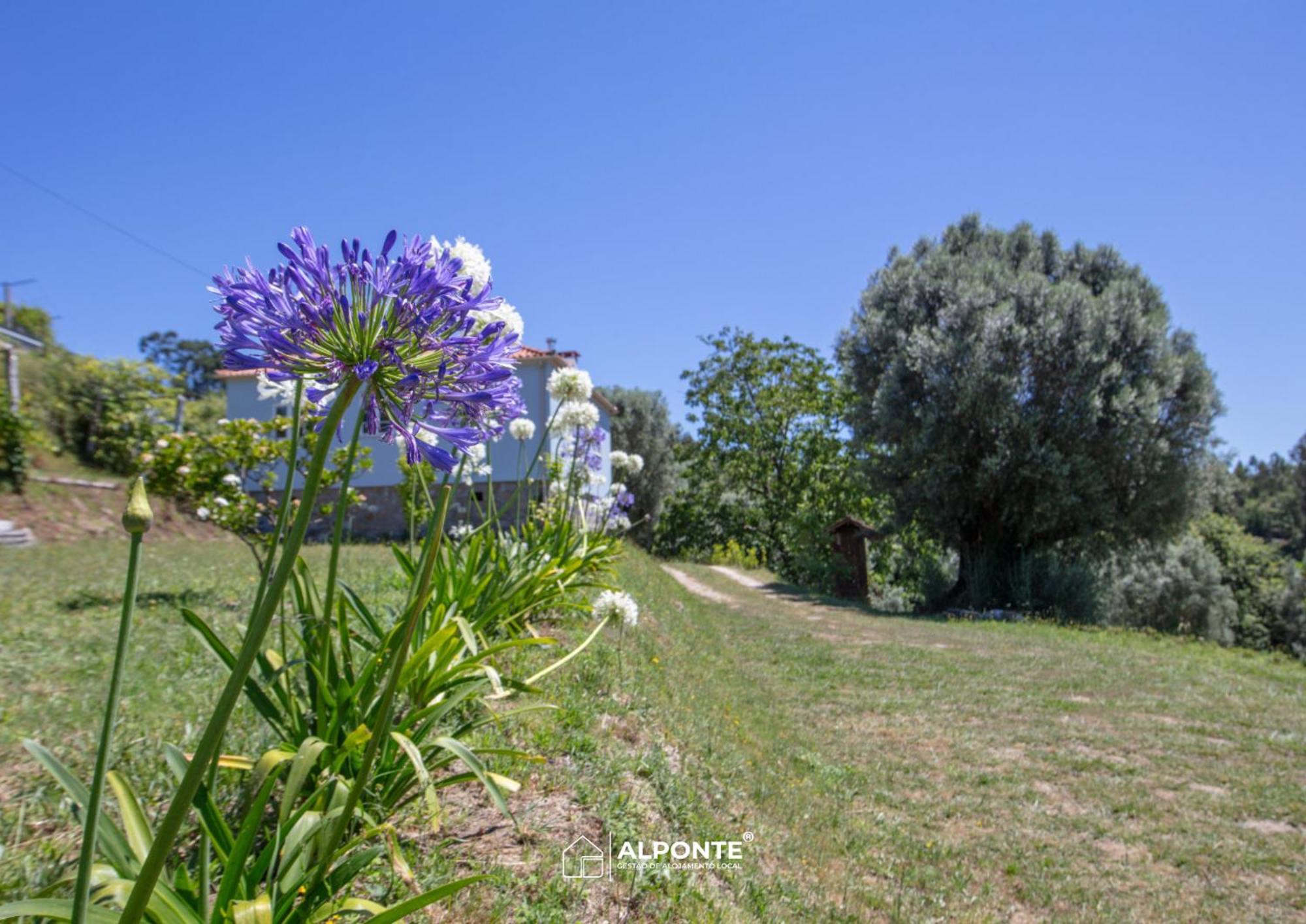 Quinta Da Costeira - Casa Azul Do Limoal By Alponte Villa Arcos de Valdevez Ngoại thất bức ảnh