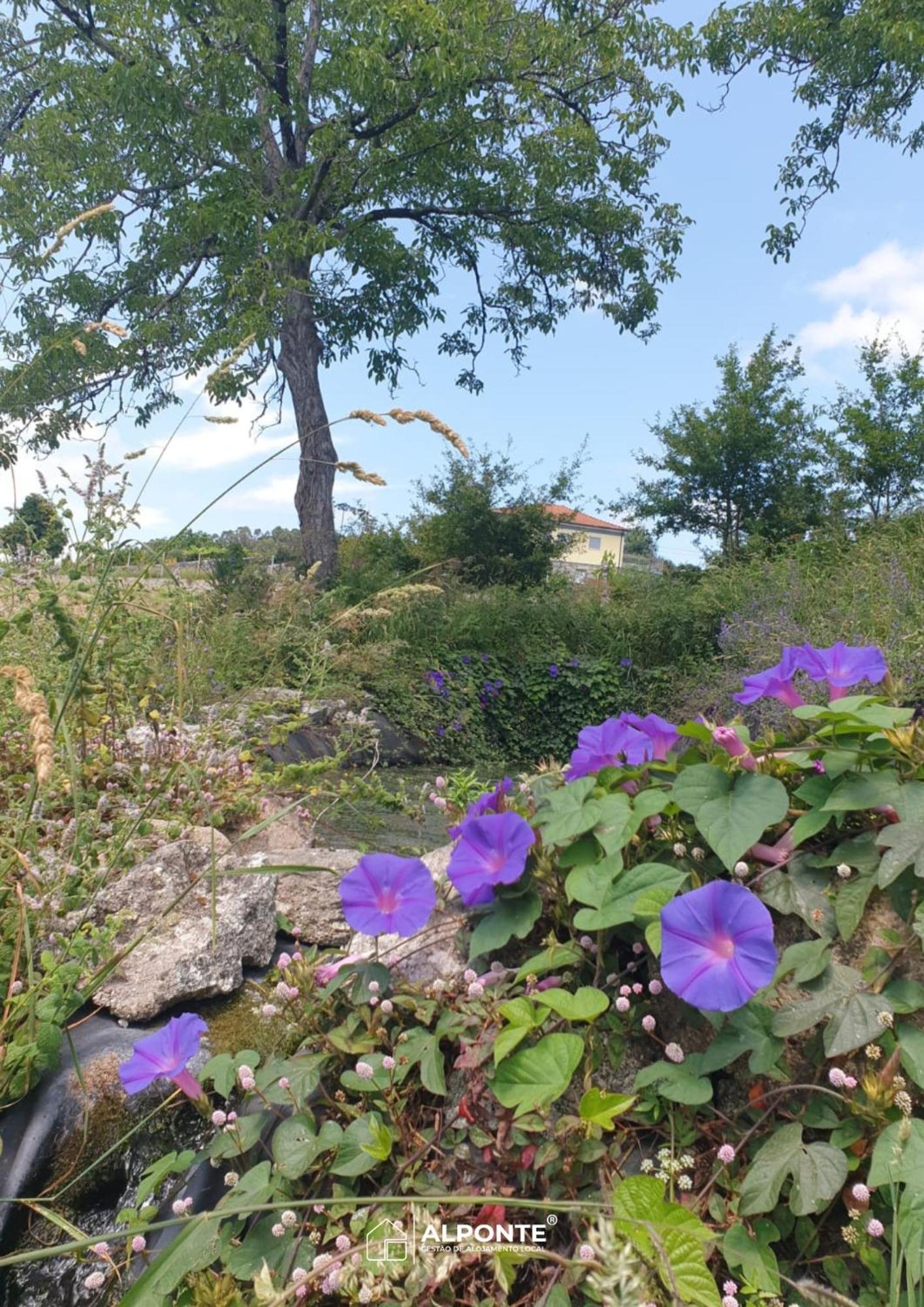 Quinta Da Costeira - Casa Azul Do Limoal By Alponte Villa Arcos de Valdevez Ngoại thất bức ảnh